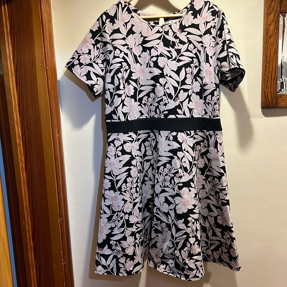 Leota fit & flare dress, 2X
